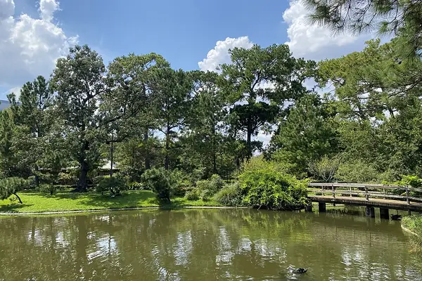 The pond at Hermann Park surrounded by green trees