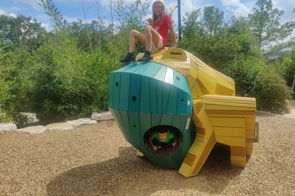 The Frog climbing structure at The Thicket playground in Hermann Park's Commons
