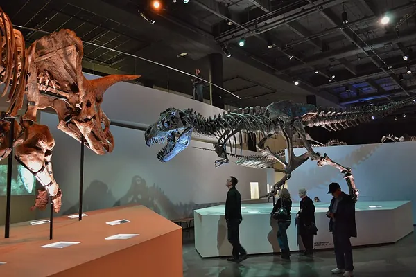 Tyrannosaurus and Triceratops skeletons in the Houston Museum of Natural Science dinosaur hall