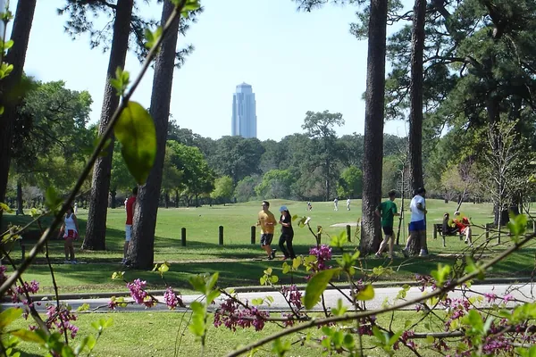 People on the lawn under tall pines at Memorial Park, Houston