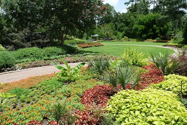 Colorful flower beds and a winding path at Mercer Botanic Gardens
