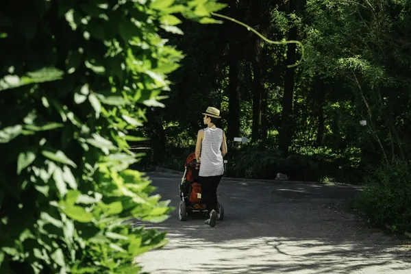 A parent pushing a stroller down a shady park path