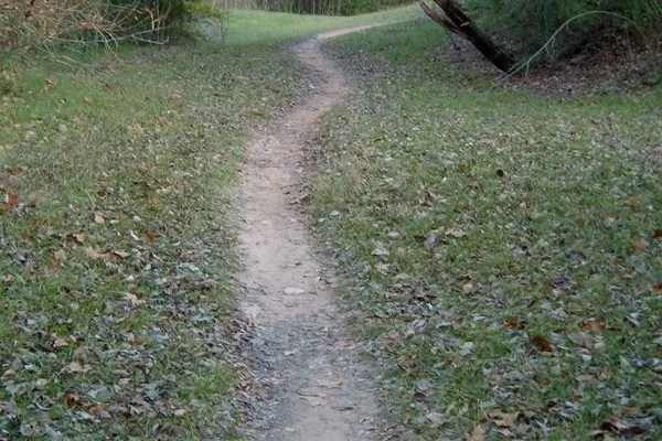 A dirt trail winding through the trees at Terry Hershey Park